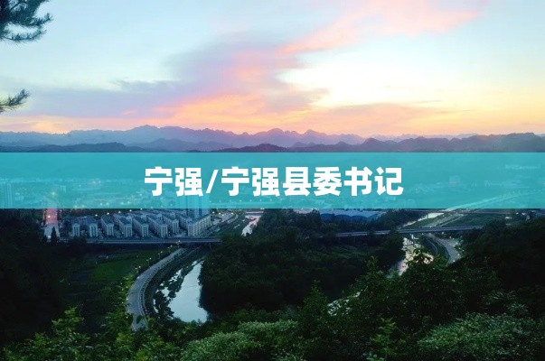 宁强/宁强县委书记