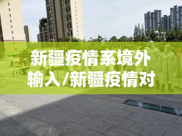 新疆疫情系境外输入/新疆疫情对外政策