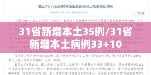 31省新增本土35例/31省新增本土病例33+10