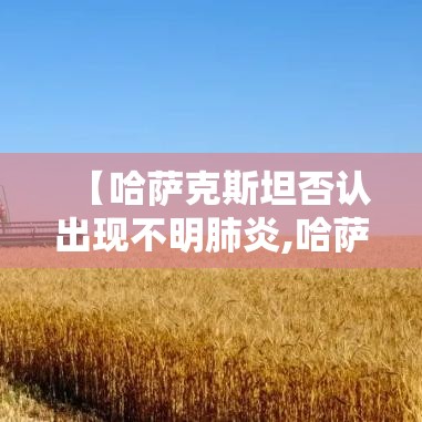 【哈萨克斯坦否认出现不明肺炎,哈萨克斯坦否认出现不明肺炎病毒】