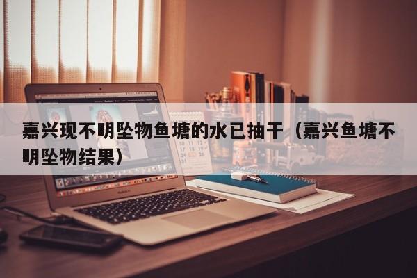 嘉兴现不明坠物鱼塘的水已抽干（嘉兴鱼塘不明坠物结果）